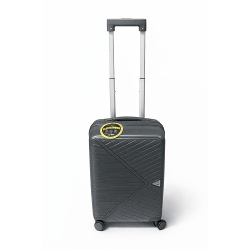 Trolley 20" Gris
